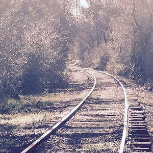 Meet your Posher, Donald